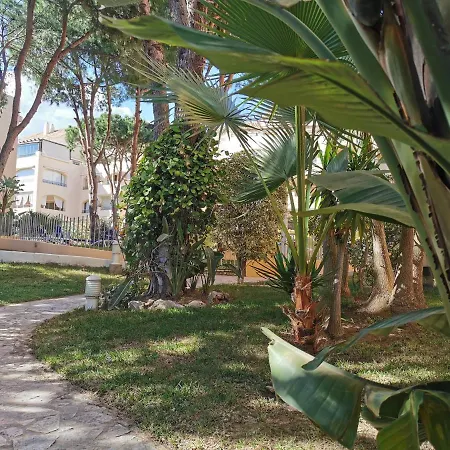 Appartamento Junto Al Mar Con Gran Terraza *